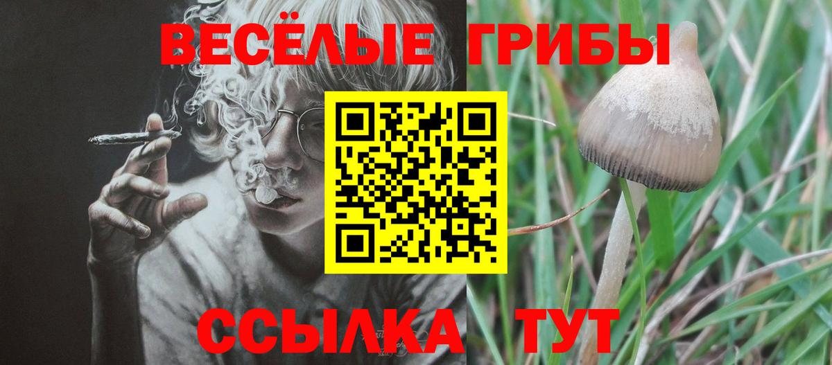 Биробиджан  Галлюциногенные грибы MAGIC MUSHROOMS  Галлюциногенные грибы GOLDEN TEACHER  Вход с VPN 